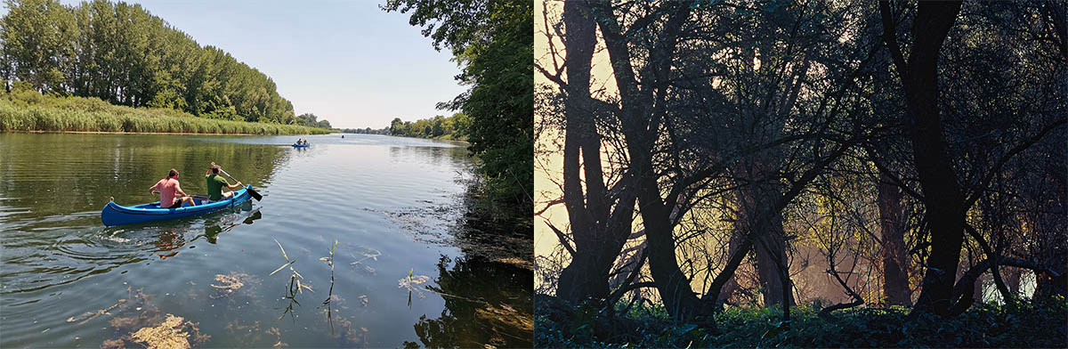 gornje podunavlje