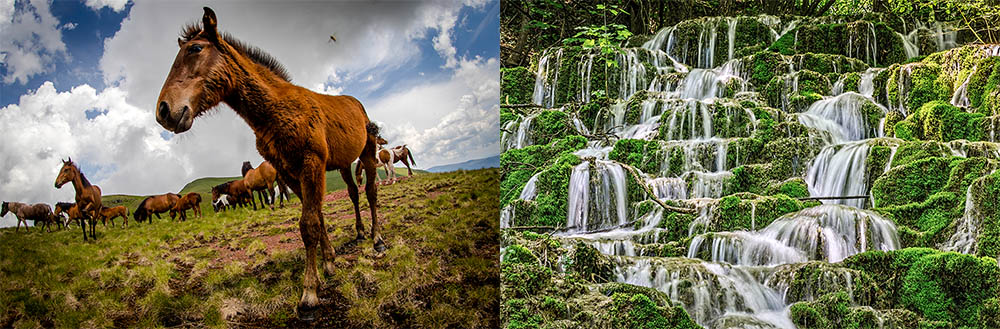 stara planina mountain