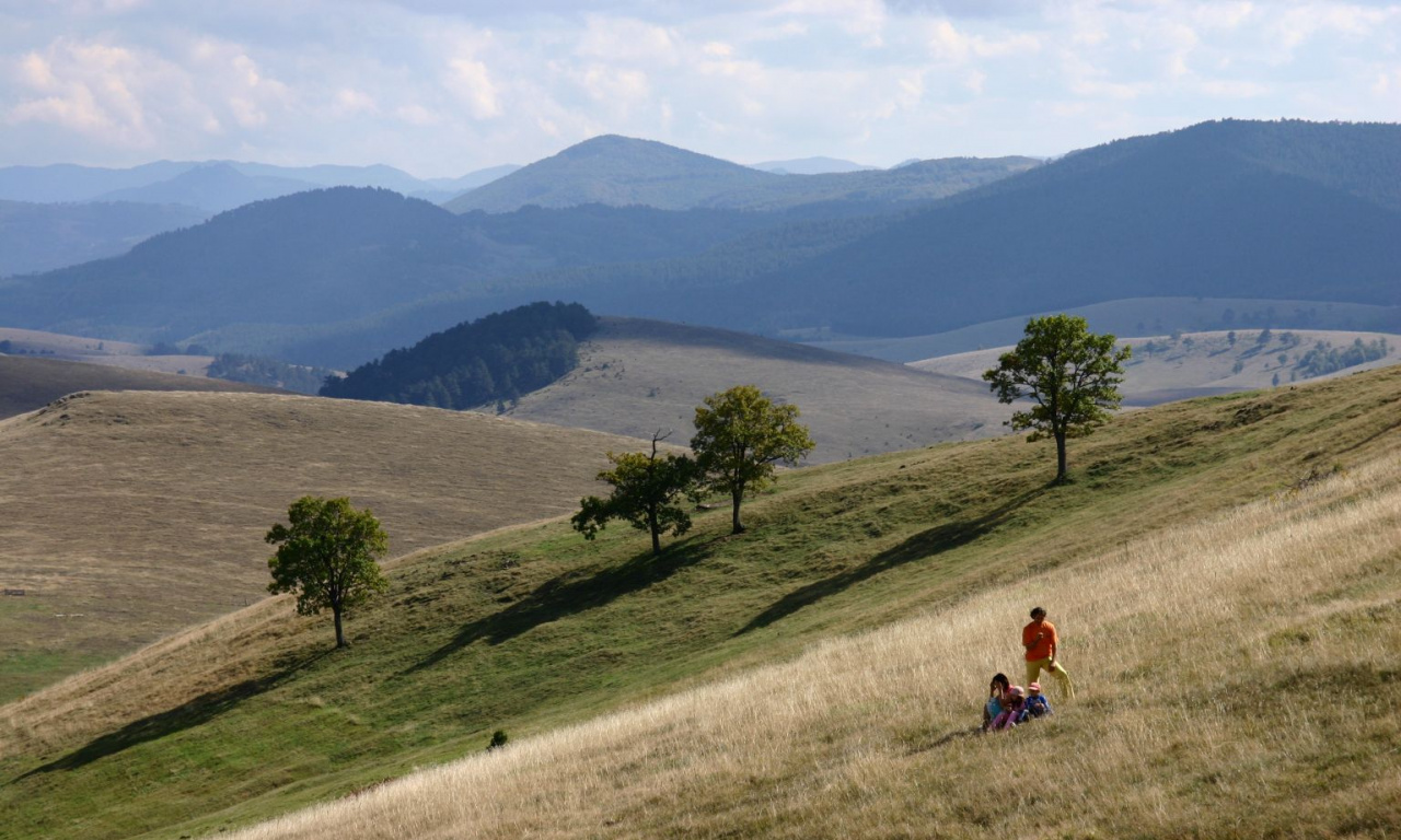 Mountain heights summer fun