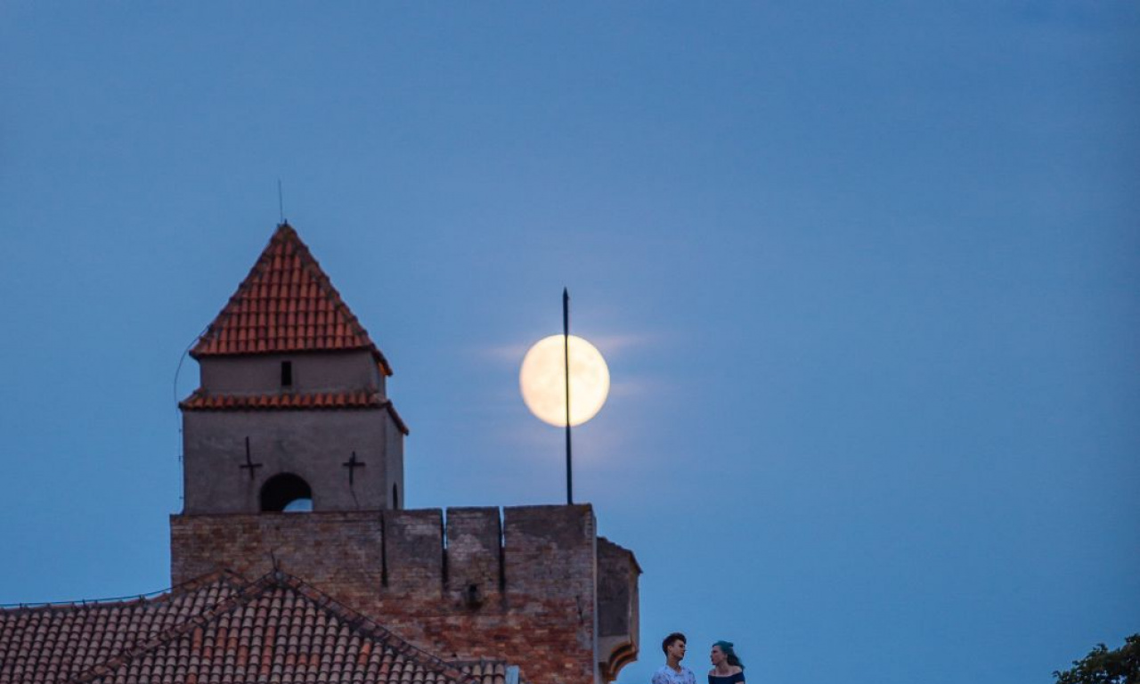 Belgrade summer nights