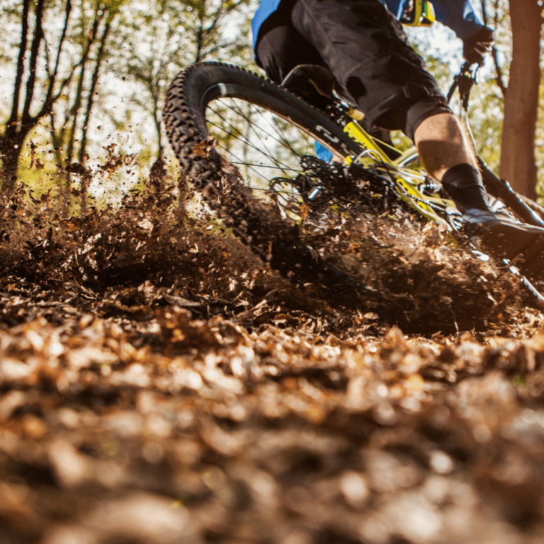 Where all the Fruška Gora trails lead