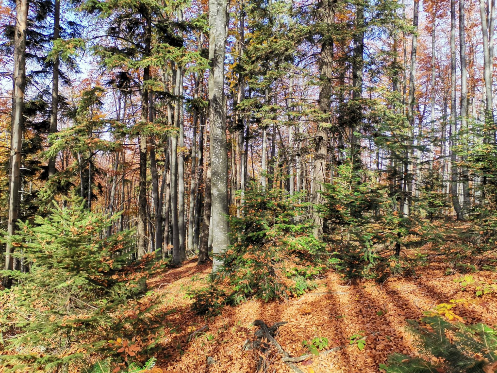 Srbija je dobila novo zaštićeno područje – Proglašen Park prirode „Veliki Jastrebac”