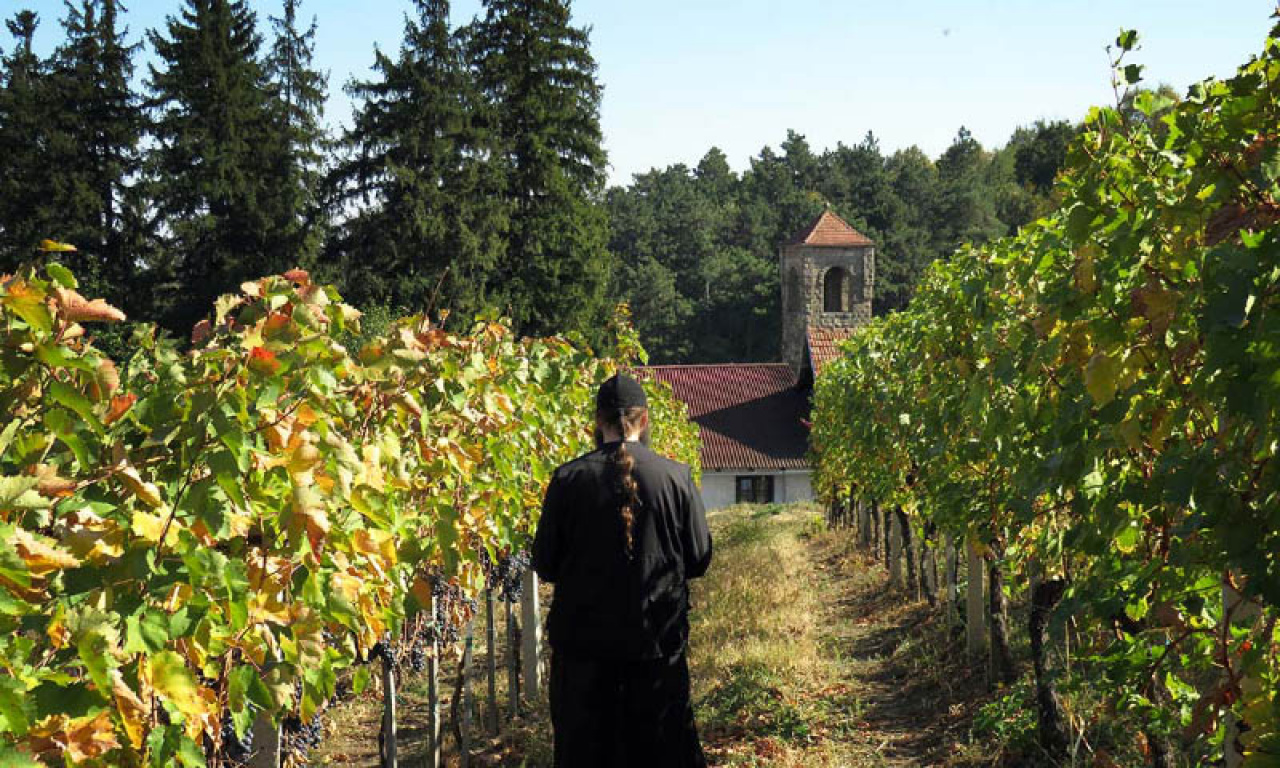 TAJNE SRPSKIH MANASTIRSKIH VINA