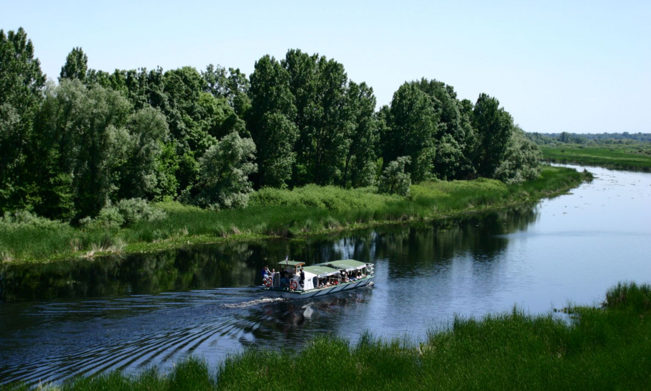 Lepota u svakom kadru