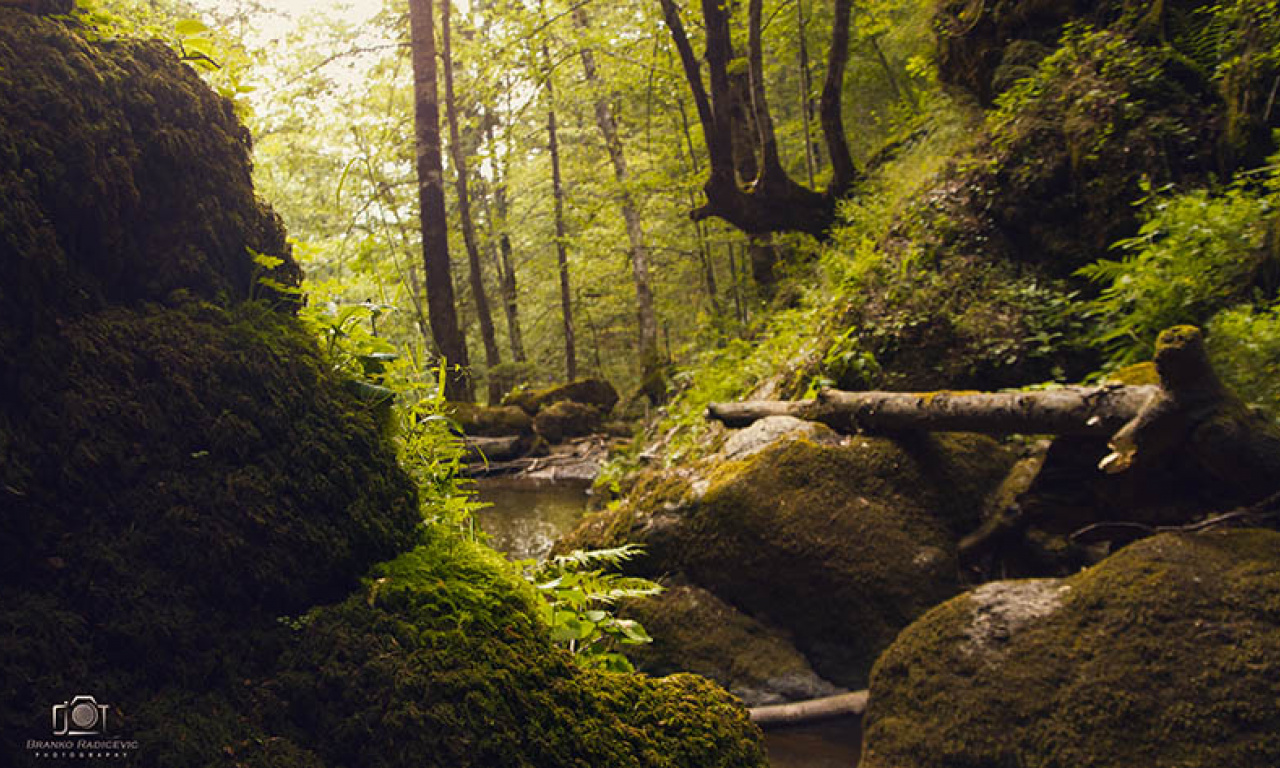 OSUNČANA PRIRODA